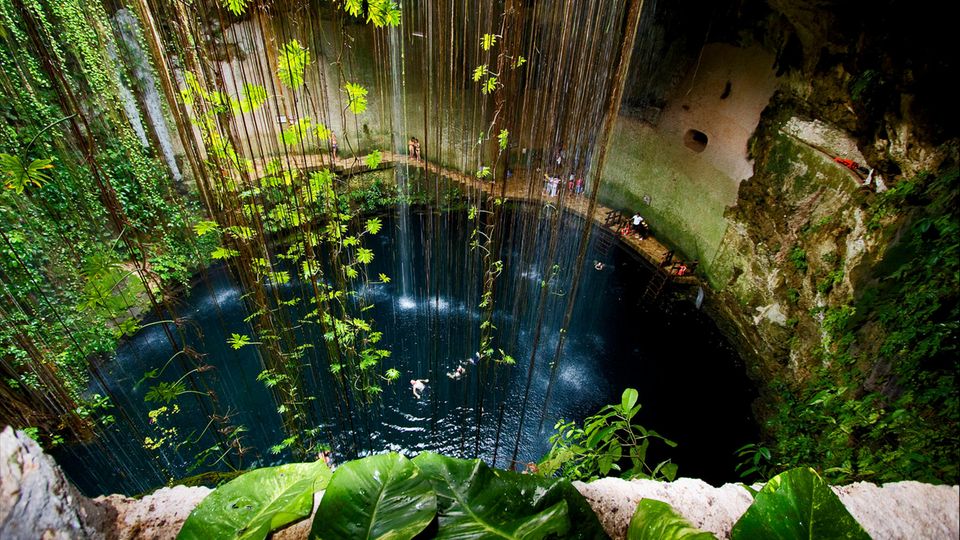 Cénote Mexique Ik Kil Vue dans le cenote Ik Kil